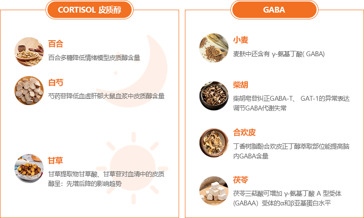 循证医学：解郁丸能有效增强皮质醇日夜双向调节和人体自身分泌GABA的能力