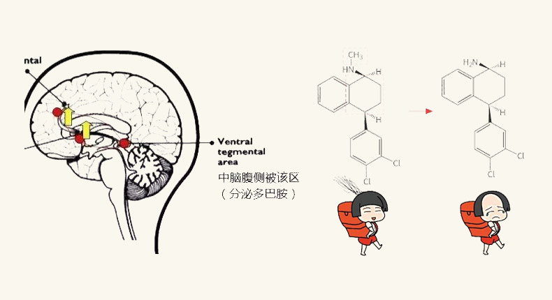 循证医学：体内的这两个因子，会决定人的压力与情绪感知