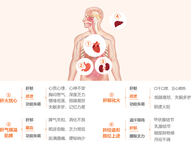 作用机理